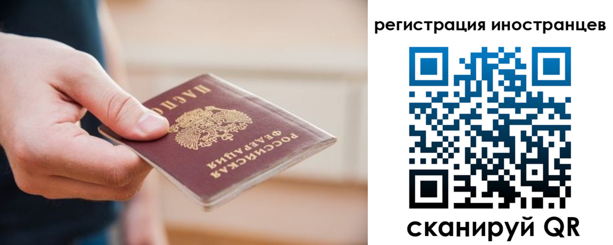 прописка гарантия в Барыше